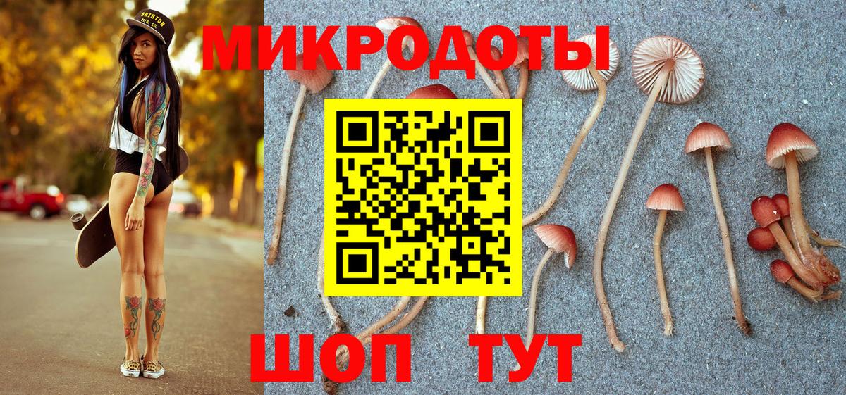 Псилоцибиновые грибы мицелий  купить наркоту  Строитель  Вход с VPN 